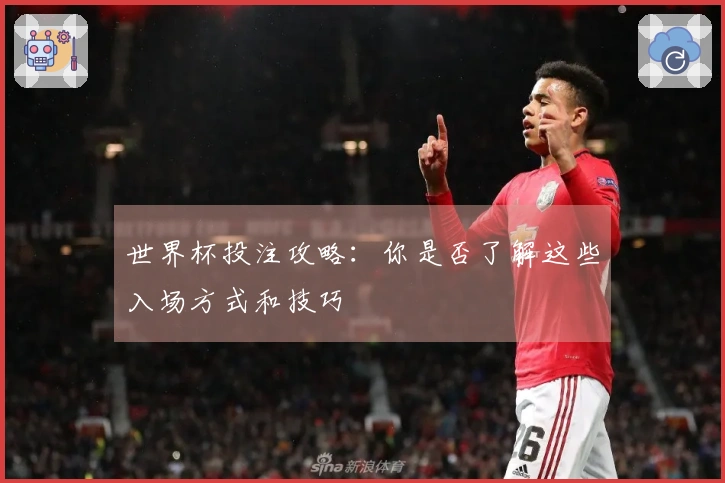 世界杯投注攻略：你是否了解这些入场方式和技巧