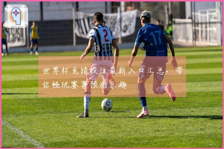 世界杯竞猜投注最新入口汇总，带你畅玩赛事预测乐趣