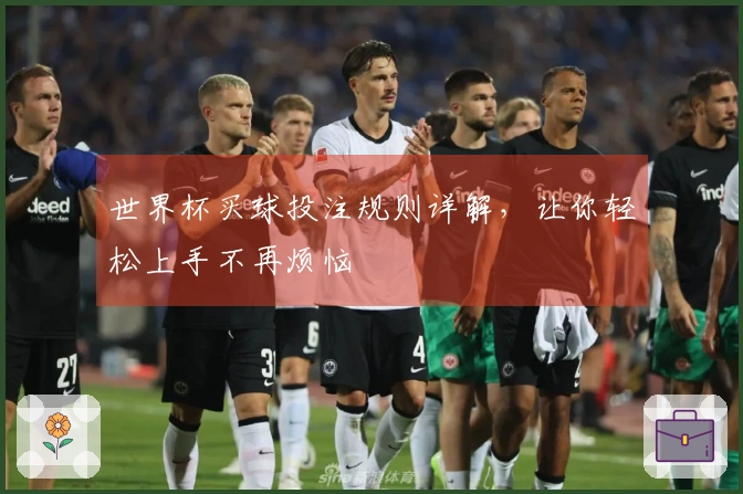 世界杯买球投注规则详解，让你轻松上手不再烦恼